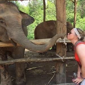 Meet your Posher, Summer